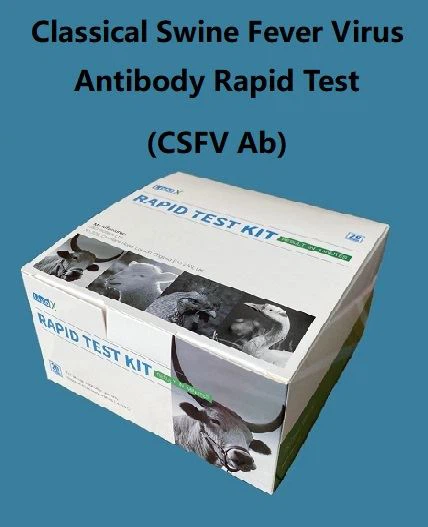 Test rapid de anticorpi împotriva pestei porcine clasice